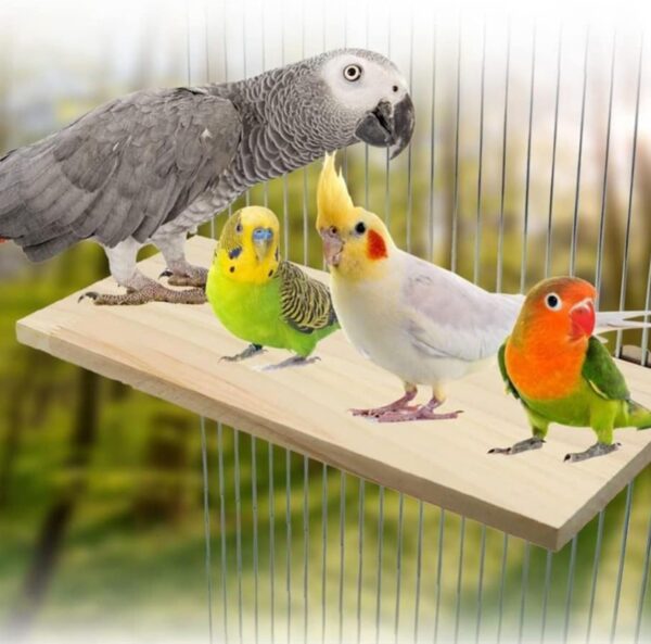 winmiya 2 PCS Bird Platform Bird Cage Accessories Pet Platform Climbing Platform Rat Cage Accessories Wooden Stand Rest Place for Small Animals - Image 7