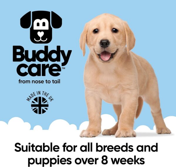 Buddycare 2in1 Dog Shampoo & Conditioner Coconut Scented | With Aloe Vera and Pro Vitamin B5 (500ml) - Image 9