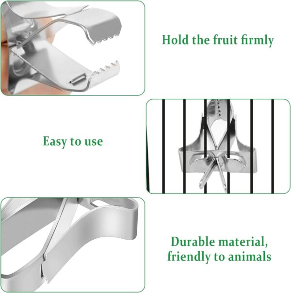 5 PCS Bird Fruit Feeder Cuttlefish Clip Bird Vegetable Holder Clip Stainless Steel Bird Feeder Bird Foraging Toy Cage Accessories For Bird Hamster Cockatiel Parrot Small Animals - Image 3