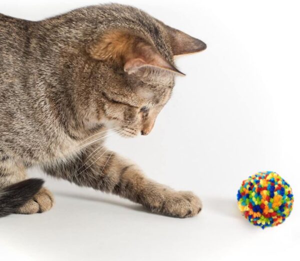Andiker 6Pcs Assorted Color Cat Ball Toys, Interactive Colorful Woolen Yarn Cat Balls, Pom Pom Cat Balls Kitten Chasing Toys for Indoor Cats - Image 3