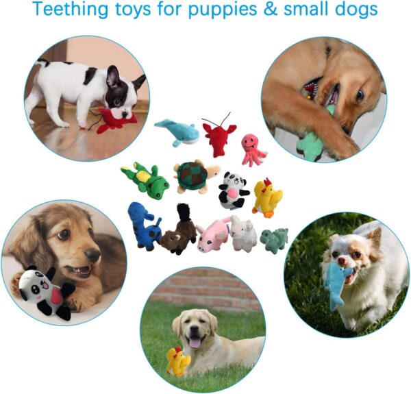 LEGEND SANDY Squeaky Plush Dog Toy Pack for Puppy, Small Stuffed Puppy Chew Toys 12 Dog Toys Bulk with Squeakers, Cute Soft Pet Toy for Small Medium Size Dogs - Image 5