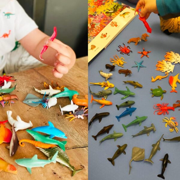 Sea Animal Figures Animal Toys 38PCS - Nabance Mini Sea Animal Toys Set Realistic Animal Sea Life Figures Toy Educational Animal Learning Toys Bath Toys for Child - Image 2