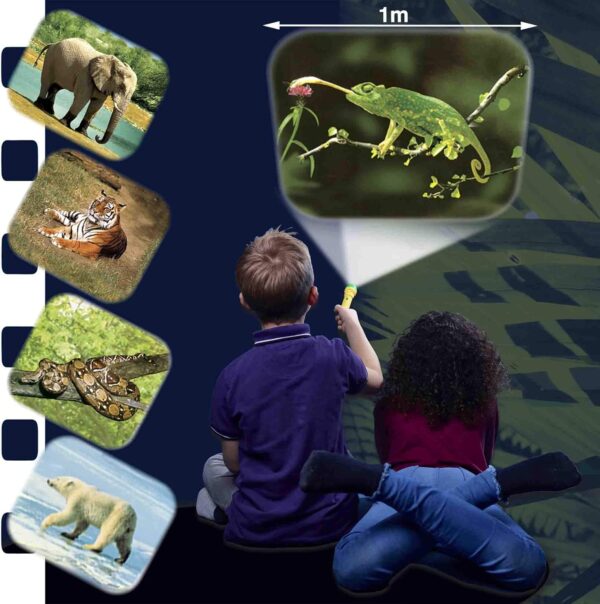 Brainstorm Toys STEM Animal Torch and Projector - Image 5