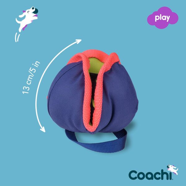 Coachi Chase & Treat - A Fun Enrichment Dog Toy, Fill with Treats for Interactive Play. Good for Motivating, Distance Reward Training & Encouraging Retrieval. Ideal for Agility & Suitable for Puppies - Image 4