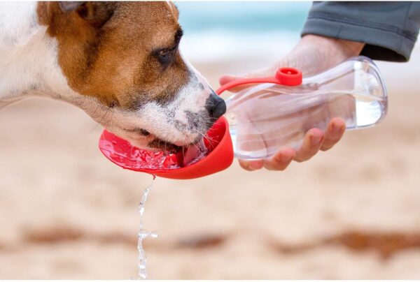 EZYDOG Portable Dog Water Bottle | Leaf Bottle Design, 600ml, BPA Free, Pet Outdoor Drinking Cup & Dog Travel Accessories Gift - The Ultimate Dog Water Dispenser and Portable Dog Water Bowl - Image 3