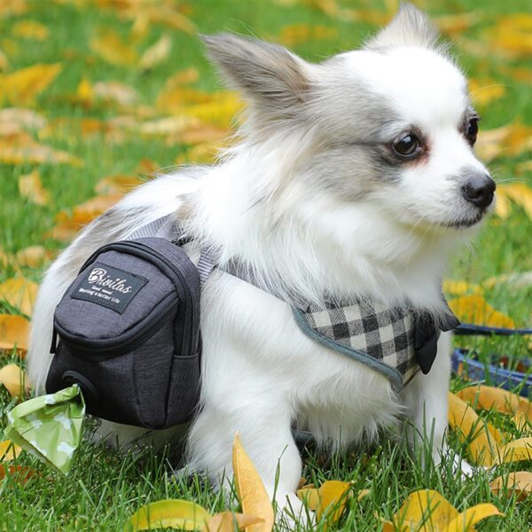 Dog Walking Bag Dog Poo Bag Holder Dispenser Dog Treat Pouch Dog Snack Food Storage Bag Durable Oxford Cloth Dog Waste Bag Carrier Hands Free Pet Accessories Bag for Travel, Walking, Running, Hiking - Image 6