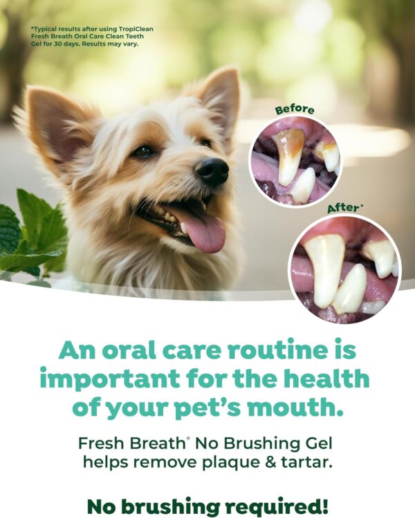 TropiClean Fresh Breath Dog Teeth Cleaning Gel - No Brushing Dental Care - Breath Freshener Oral Care - Complete Dog Teeth Cleaning Solution - Helps Remove Plaque & Tartar, Original, 59ml - Image 5