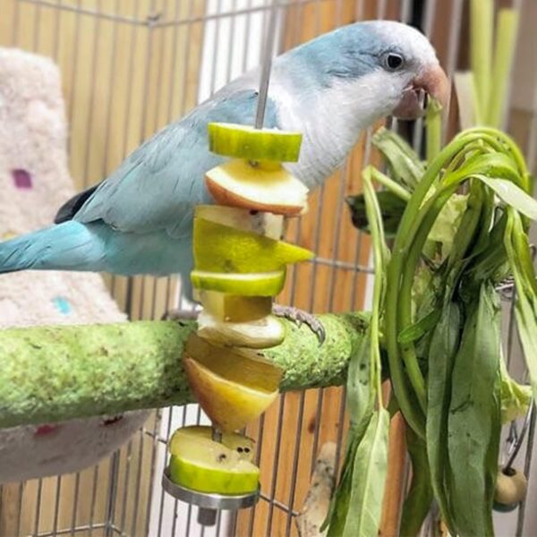 iTGOOS 2Pcs Parrot Skewer Feeder,Stainless Steel Parrot Fruit Stick Holder,Bird Food Holder,Birds Foraging Toy for Parrots Cockatoo Cockatiel Cage - Image 5