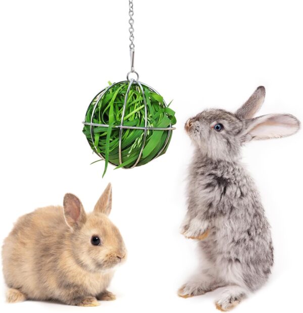 NAUZE Hay Feeder Ball Bunny Hay Feeders Stainless Steel Hanging Sphere Rabbit Feeder for Guinea Hamster Rabbits Small Animal Pet Supplies (2) - Image 3