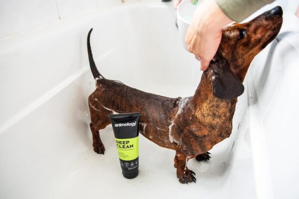 Animology Deep Clean Intensive Dog Shampoo 250ml 250 g - Image 6