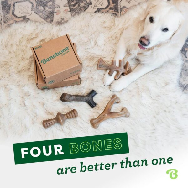 Benebone Indestructible Dog Chew Toy Gift Box for Aggressive Chewers with Wishbone, Fishbone, Stick & Zaggler, Long Lasting Boredom Breakers, 100% Real Flavours, For Small Dogs, Made in the USA. - Image 4