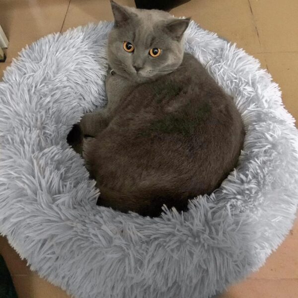 FISTAD Dog Bed Cat Bed, Washable Warm Plush Round Cat Bed Pet Bed with Anti Slip Bottom Suitable for Cat and Small/Medium Dogs (40cm Light Grey) - Image 4