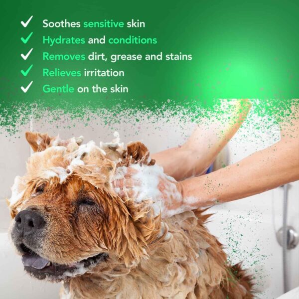 Wahl Aloe Soothe Shampoo, Dog Shampoo, Shampoo for Pets, Natural Pet Friendly Formula, For Dogs with Sensitive Skin, Concentrate 15:1, Gentle Shampoos, 5 Litre - Image 4