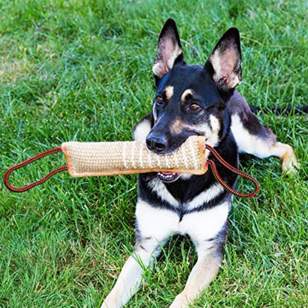 Hyrew FANTESI Dog Tug Toy Dog Bite Pillow Jute Bite Toy Dog Pull Toy Interactive Toys for Medium to Large Dogs(style 2) - Image 7