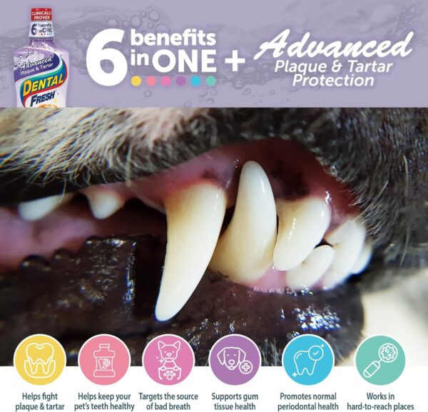 Dental Fresh Water Additive - Original Formula for Dogs - Clinicially Proven, Simply Add to Pet’s Water Bowl to Whiten Teeth, Eliminate Bad Breath, and Improve Oral Health (17 oz) - Image 3