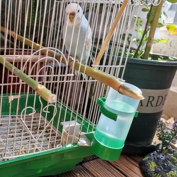 4 Pcs Bird Food Water Dispenser Bird Drinker Bird Cage Bottle Pet Waterer for Parrot Lovebird Cage Accessories - Image 6