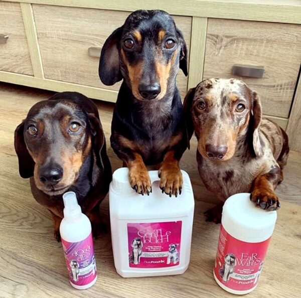 Pretty Pooch® Gentle Touch Dog Shampoo & Conditioner - 2 Litres (Baby Powder Fragrance) - A Non-itchy, Professional Deep Cleaning Shampoo for Dogs with Sensitive Skin! (2 Litre Baby Powder) - Image 3