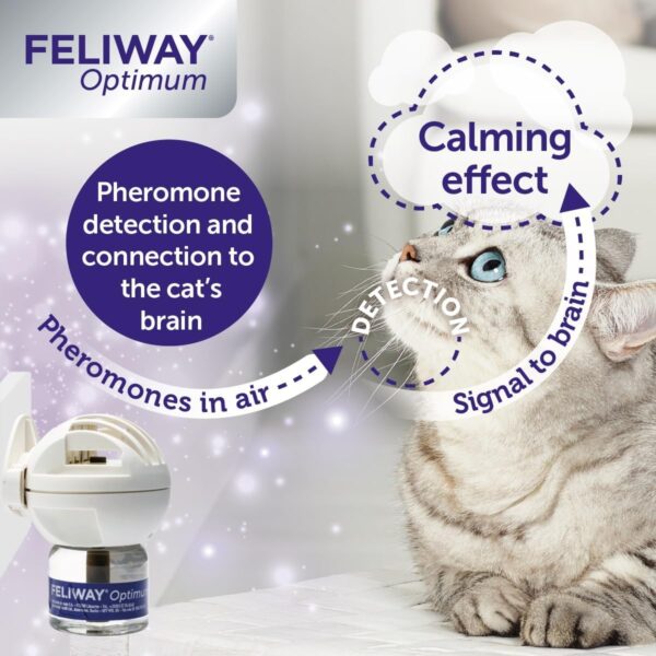 FELIWAY Optimum diffuser & 30 day refill, the best solution to ease cat anxiety, cat conflict and stress in the home, 48 ml (Pack of 1) - Image 6