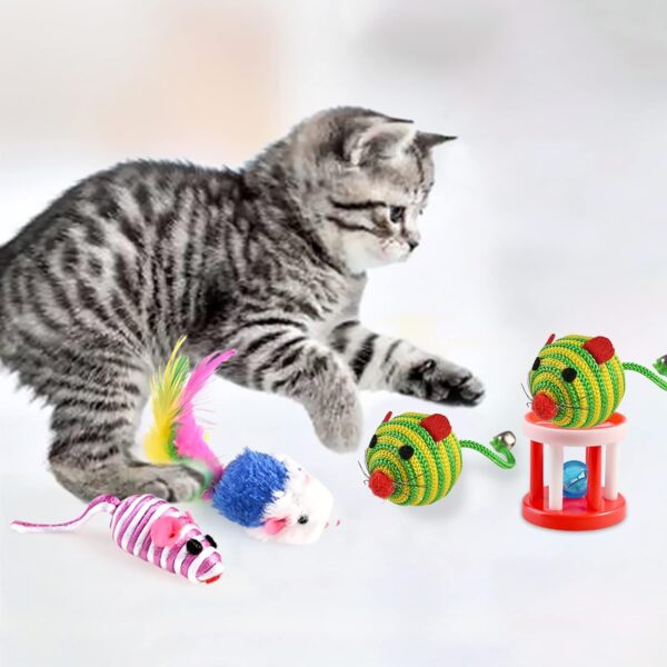 GOLDGE Cat Toys, Kitten Toys for Indoor, 16 Pcs Cat Interactive Toys Includes Cats Catnip, Balls, Mice, Feathers Wand Toys Set Gift for Cat and Kitty - Image 7