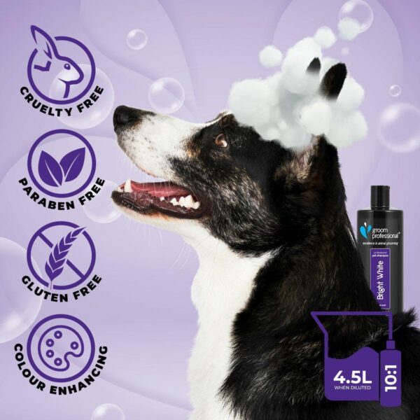 GROOM PROFESSIONAL Bright White Dog Shampoo - Deep Cleansing Shampoo for Dogs - Brightens White Coats - Enhanced White Tones - Whitening Shampoo - Removes Stains on Coat, 4 Litre - Image 5