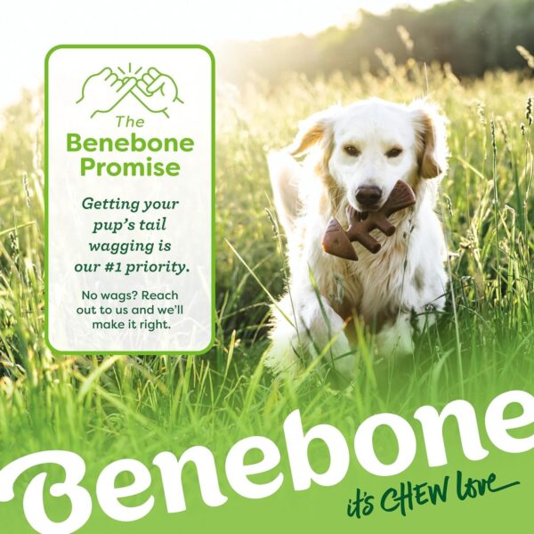 Benebone Indestructible Dog Chew Toy Gift Box for Aggressive Chewers with Wishbone, Fishbone, Stick & Zaggler, Long Lasting Boredom Breakers, 100% Real Flavours, For Small Dogs, Made in the USA. - Image 6