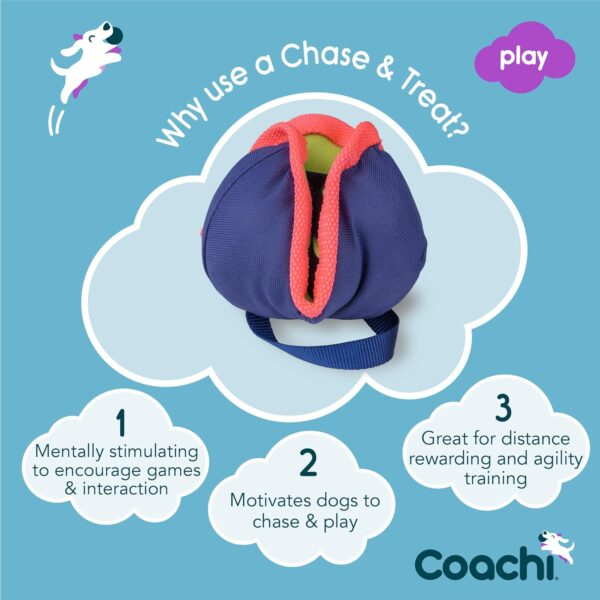 Coachi Chase & Treat - A Fun Enrichment Dog Toy, Fill with Treats for Interactive Play. Good for Motivating, Distance Reward Training & Encouraging Retrieval. Ideal for Agility & Suitable for Puppies - Image 2