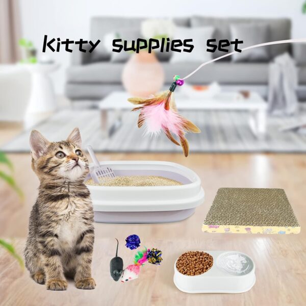 SIVEIS 12 Piece Cat Kitten Starter Kit,Cat Litter Box Starter Kit for Indoor Cats/Cat Cages Indoor with Kitten Accessories Cat Litter Tray & Scoop,Cat Scratch Pad,Double Cat Bowls,Kitten Toys,Spoon - Image 6