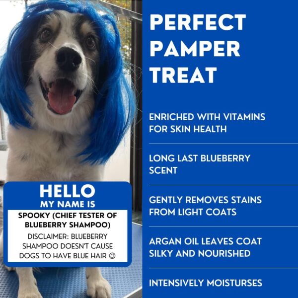 Groomarts Bluberry Whitening Dog Shampoo 5L - Professional & Home Use Dog Grooming Shampoo - 20:1 Concentration - Brightens & Cleans Light Coated Dogs - Blueberry Smoothie Fragrance - Image 4