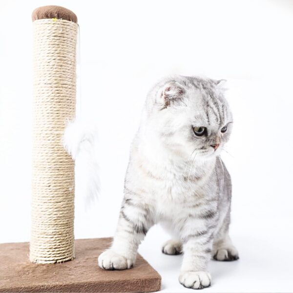 Nobleza - Cat Scratching Post Small Cat Climbing Activity Center Kitty Climbing Tree with sisal Kitten Play Tower with Hanging Toys, Brown, 25 * 25 * 35cm - Image 3