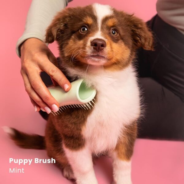 Pet Teezer, Pet Puppy Grooming Brush, Mint - Image 3