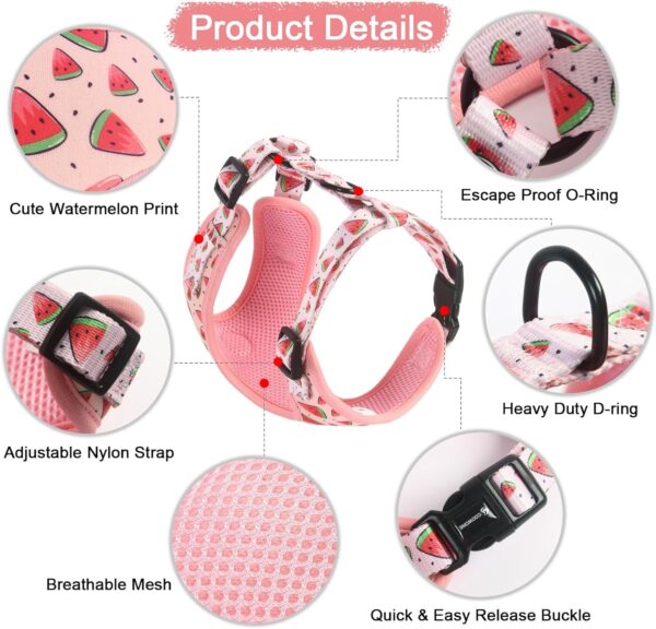 Dog Harness and Leash, Poop Bag Holder 3 Sets, Easy Walk No Pull Adjustable Puppy Cat Vest Harness with Soft Mesh Padded, Pet Supplies for Extra-Small/Small Medium Dogs Kitten - Image 3