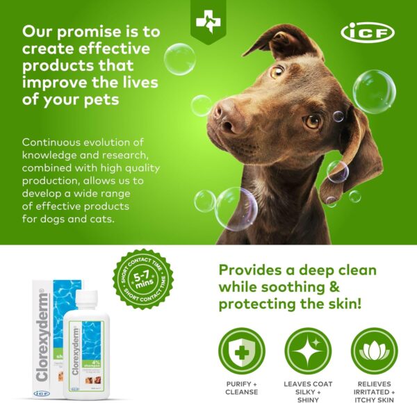 ICF | Clorexyderm Dog Shampoo For Itchy Skin Relief | Anti Itch + Antifungal + Antibacterial Shampoo And Conditioner For Pets With Sensitive Skin 200 ml - Image 5