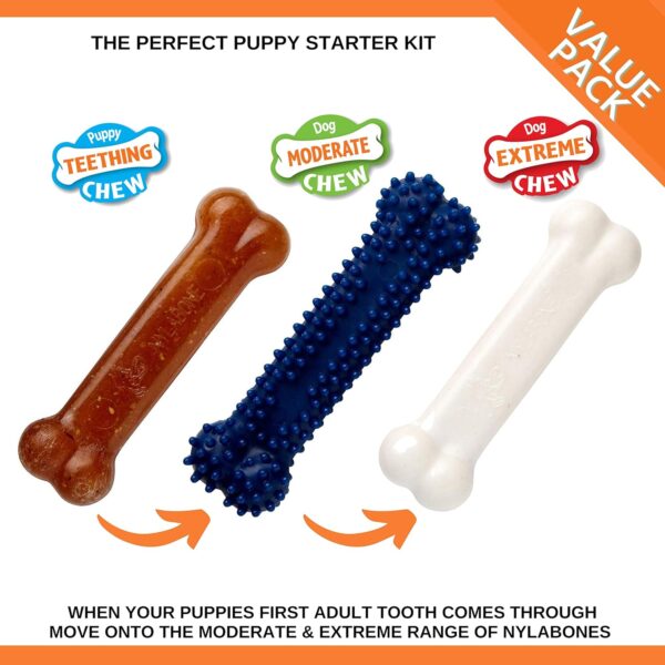 Nylabone Puppy Starter Kit, Pack of 3 Dental Dog Chew Bones, Teething, Gentle, Graduate, Small, for Puppies Up to 11 kg - Image 3