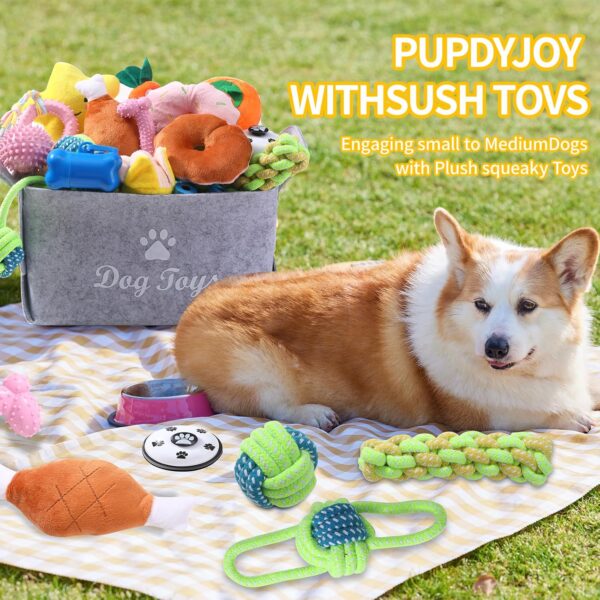 Restorgan 22 PACK Puppy Toys Set, Small Dog Toys Puppy Teething Toys with Dog Toy Box, Puppy Chew Toys, Dog Rope Toys Set with Cute Squeaky Dog Toys for Small and Medium Dogs Playing and Training - Image 7