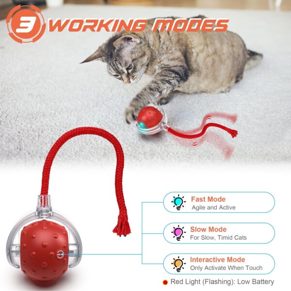 Iokheira Interactive Cat Toy Electric Automatic Toys for Indoor Cats, Rechargeable Irregular Moving Toys, Stimulate Cats' Hunting Instincts, Cats Adult, All Floors & Carpet Available - Image 2