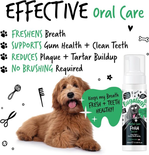 BUGALUGS Dog Breath Freshener Dental Care Foam. Clean Teeth, Healthy Gums & Fresh Breath - Natural Dog plaque remover & tartar remover for teeth - No Brushing Needed (Dog 210ml Foam) - Image 2