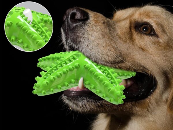 Acecy Dog Toys, Puppy Teething Cleaning Toothbrush Toy, Durable Squeaky Interactive Starfish Puppy Toys for Small Medium Large Breed - Image 6