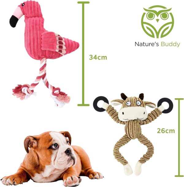 Nature’s Buddy Plush Dog Toys - Squeaky, cuddly soft chew bundle - 5 pack set - durable, interactive toys for puppy and small dogs - variety with 3 no stuffing animals - Image 3