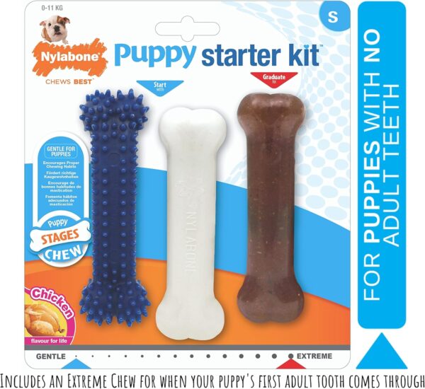 Nylabone Puppy Starter Kit, Pack of 3 Dental Dog Chew Bones, Teething, Gentle, Graduate, Small, for Puppies Up to 11 kg - Image 2