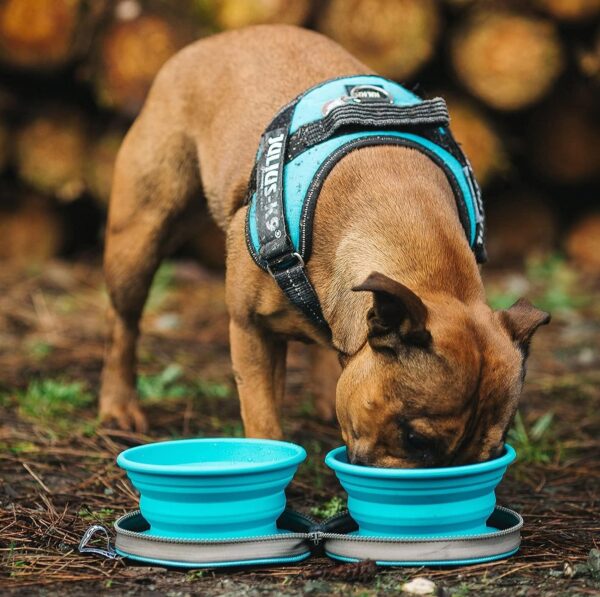 Two Collapsible Dog Bowls - Dog Water Bowl - Foldable Bowl with Travel Case - Grey - Image 5