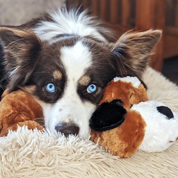 Snuggle Puppy Heartbeat Stuffed Toy for Dogs - Pet Anxiety Relief and Calming Aid - Brown and White - Image 8