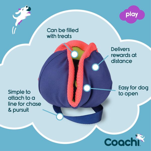 Coachi Chase & Treat - A Fun Enrichment Dog Toy, Fill with Treats for Interactive Play. Good for Motivating, Distance Reward Training & Encouraging Retrieval. Ideal for Agility & Suitable for Puppies - Image 3