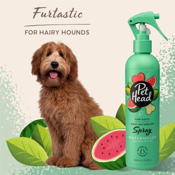 PET HEAD Dog Spray 300ml, Furtastic, Watermelon Scent, Knot Detangler, Best Pet Spray for Smelly Dogs, Care for Long, Tangly Curls & Coats, Professional Waterless Grooming, Gentle Formula for Puppies - Image 3