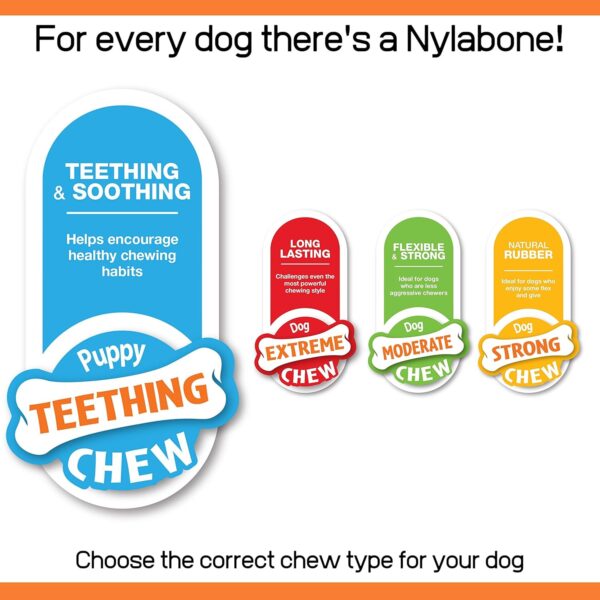 Nylabone Puppy Starter Kit, Pack of 3 Dental Dog Chew Bones, Teething, Gentle, Graduate, Small, for Puppies Up to 11 kg - Image 5