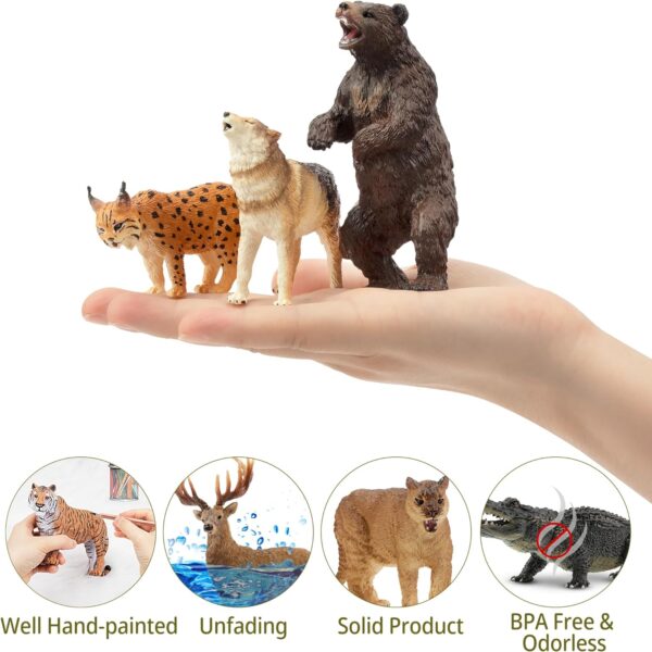 toymany 12PCS North American Forest Animal Figurines, Realistic Jungle Animal Set Includes Raccoon,Lynx,Wolf,Bear,Eagle, Educational Toy Cake Toppers Christmas Birthday Gift for Kids Toddlers - Image 3