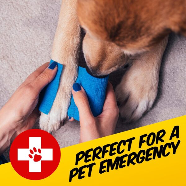 PawPride Portable Pet First Aid Kit For your Dog and Puppy, 47 pieces included, ideal dog walking accessories, keep your pet dogs safe when you travel - Image 6