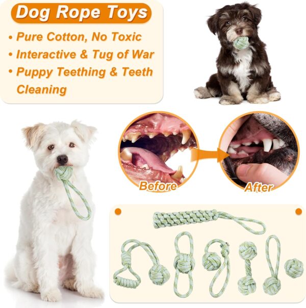 Ousiya 24 PACK Puppy Toys Set, Small Dog Toys Puppy Teething Toys with A Storage Box, Puppy Rope Toy Puppy Chew Toy Dog Toys for Small and Medium Dogs Playing and Training - Image 4