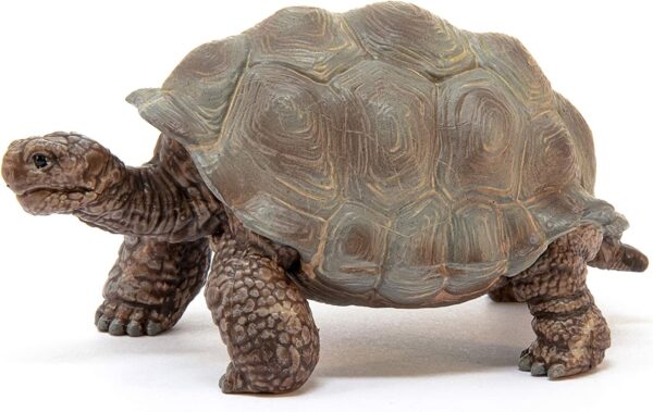 schleich Wild Life 14824 Realistic Exotic Galapagos Giant Tortoise Figurine - Wild Animal Giant Tortoise Toy for Wildlife Play and Imagination - Animal Toys Gift for Boys, Girls, Kids Ages 3+ - Image 5