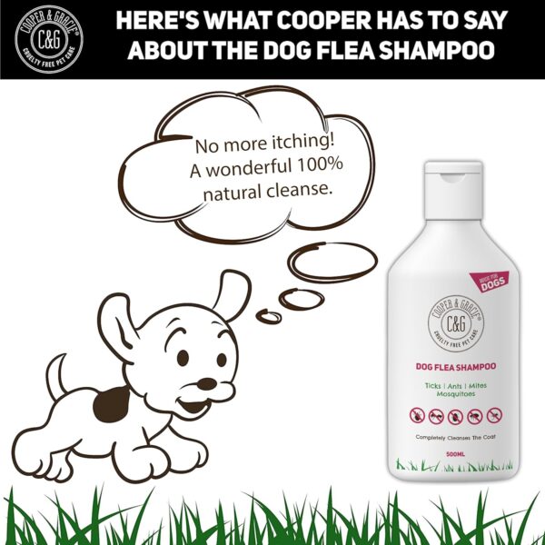 Cooper And Gracie C&G Cruelty free Pet Care Flea Shampoo For Dogs 500ml - Sensitive Itchy Skin Dog and Puppy Grooming - Medicated Fleas Treatment, Lavender - Image 6