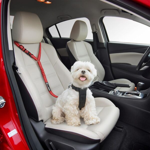 Headrest Dog Car Seat Belt Adjustable with Elastic Bungee Buffer Durable Headrest Pet Car Safety Harness Restraint (Red) - Image 2